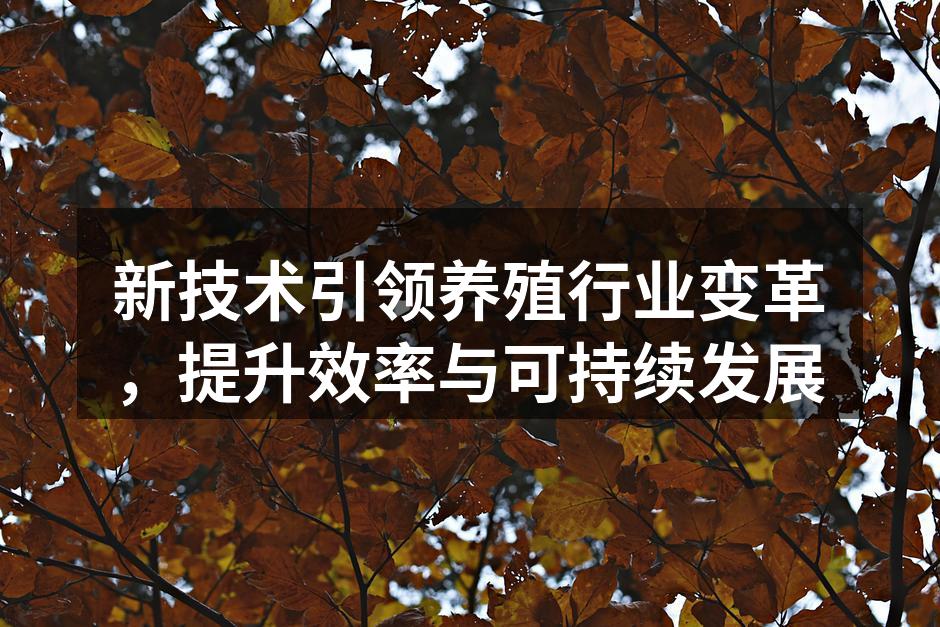 新技术引领养殖行业变革，提升效率与可持续发展
