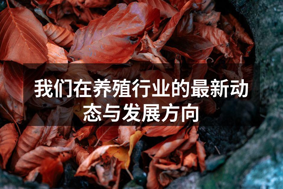 我们在养殖行业的最新动态与发展方向